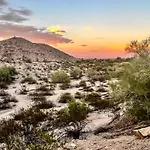 Saguaro Siesta