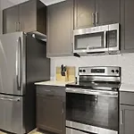 Cozysuites Paradise Under The Palms With Pool! 21