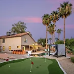 Paradise Palms