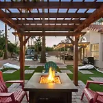 Paradise Palms