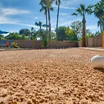 Paradise Palms