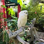 Don\'S Elegante Bed & Breakfast