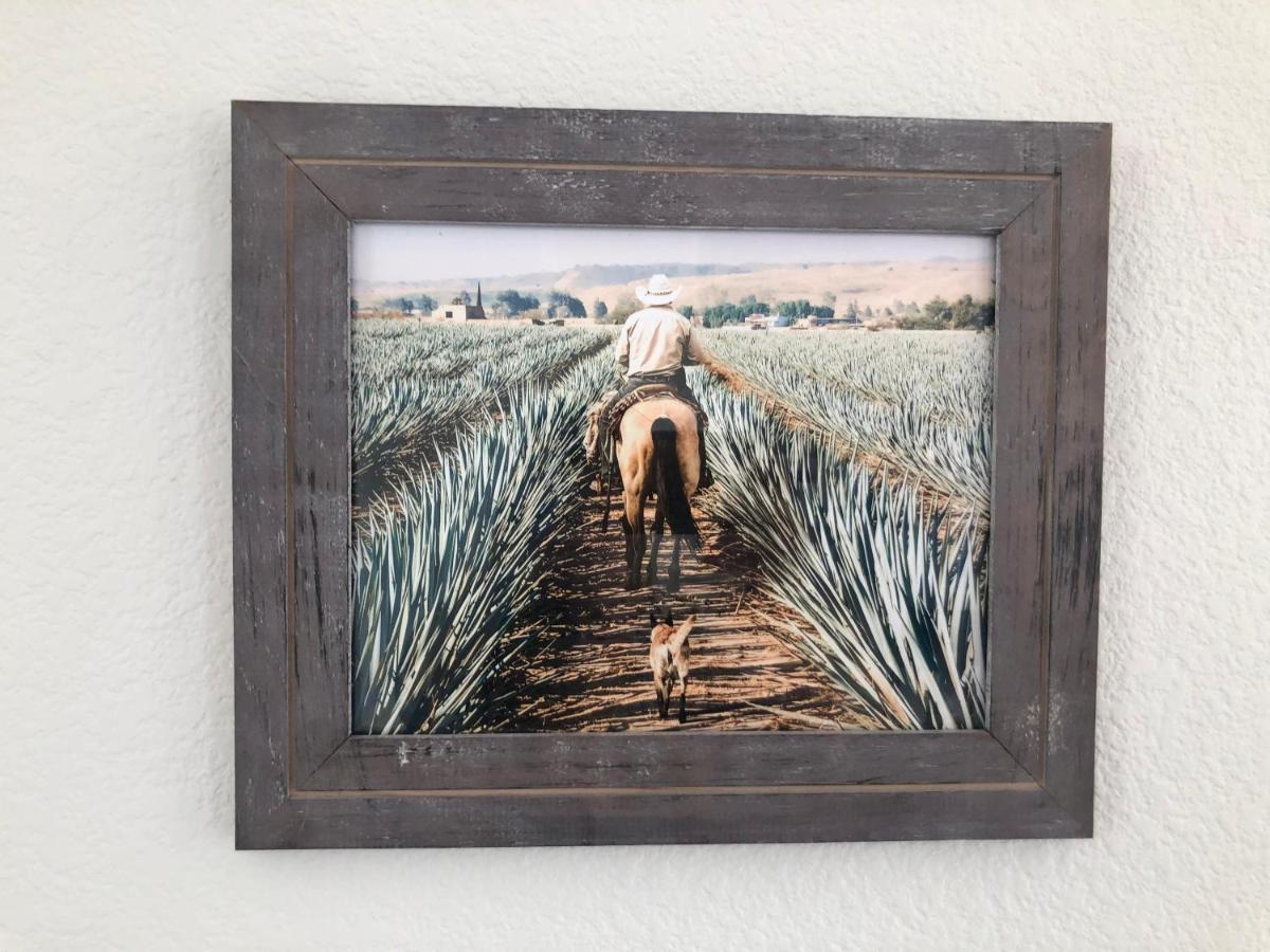 Holiday home The Agave Cowboy