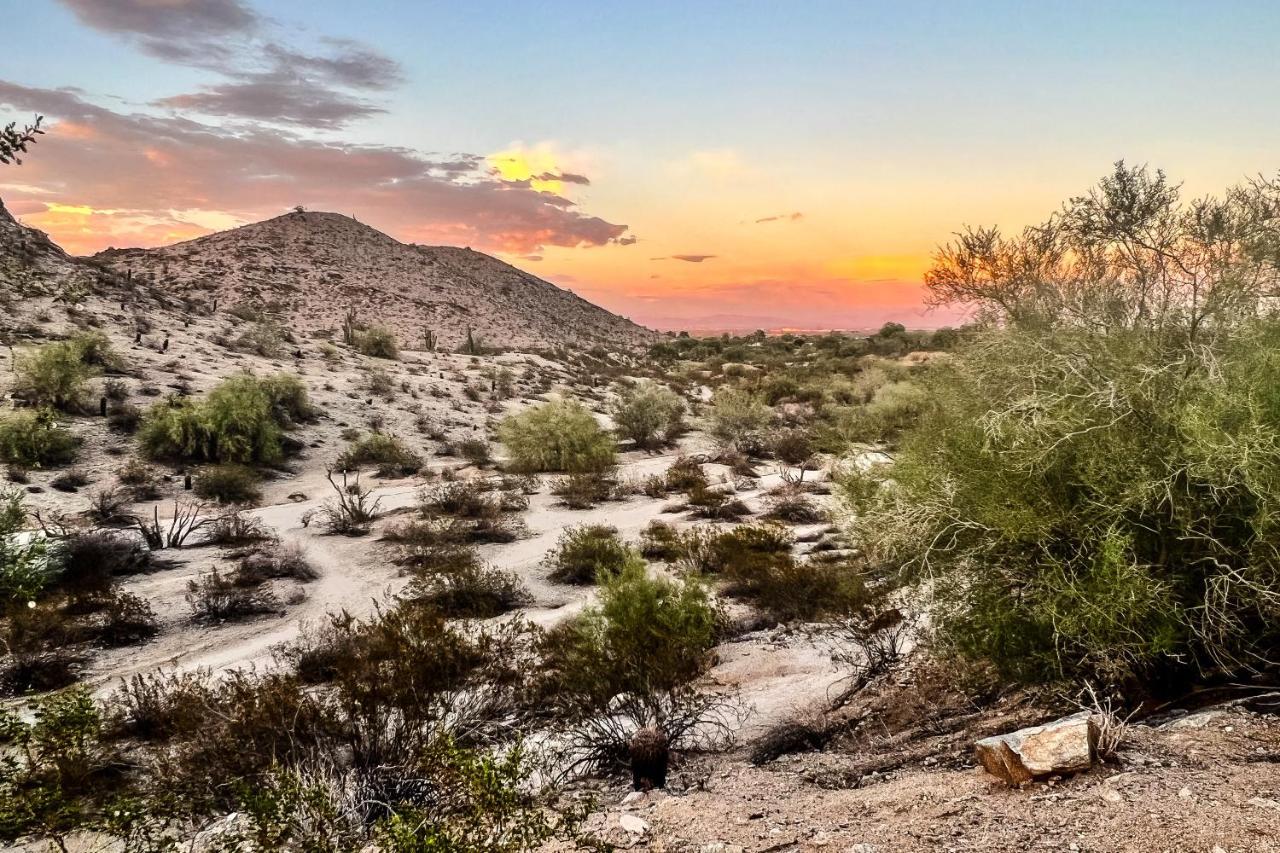 Saguaro Siesta Phoenix
