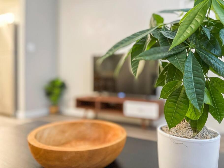 Updated With Pool - Close To Airport, Zoo, & Asu Apartamento *