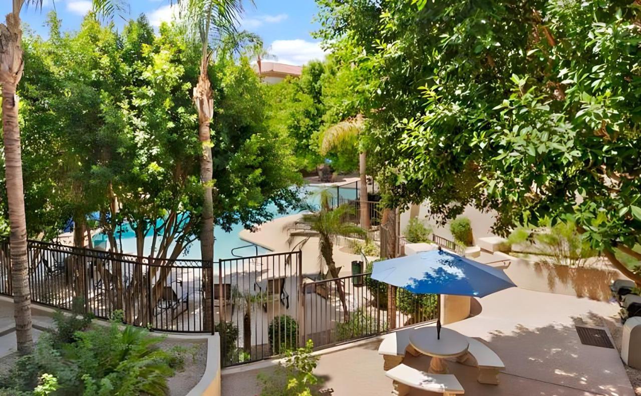 Biltmore Bliss Desert Retreat! Apartamento Phoenix