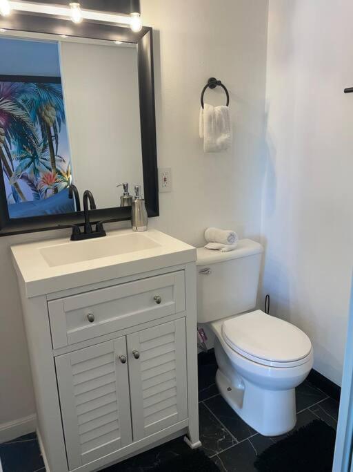 Your Tiny Downtown With Backyard Unit D Apartamento *