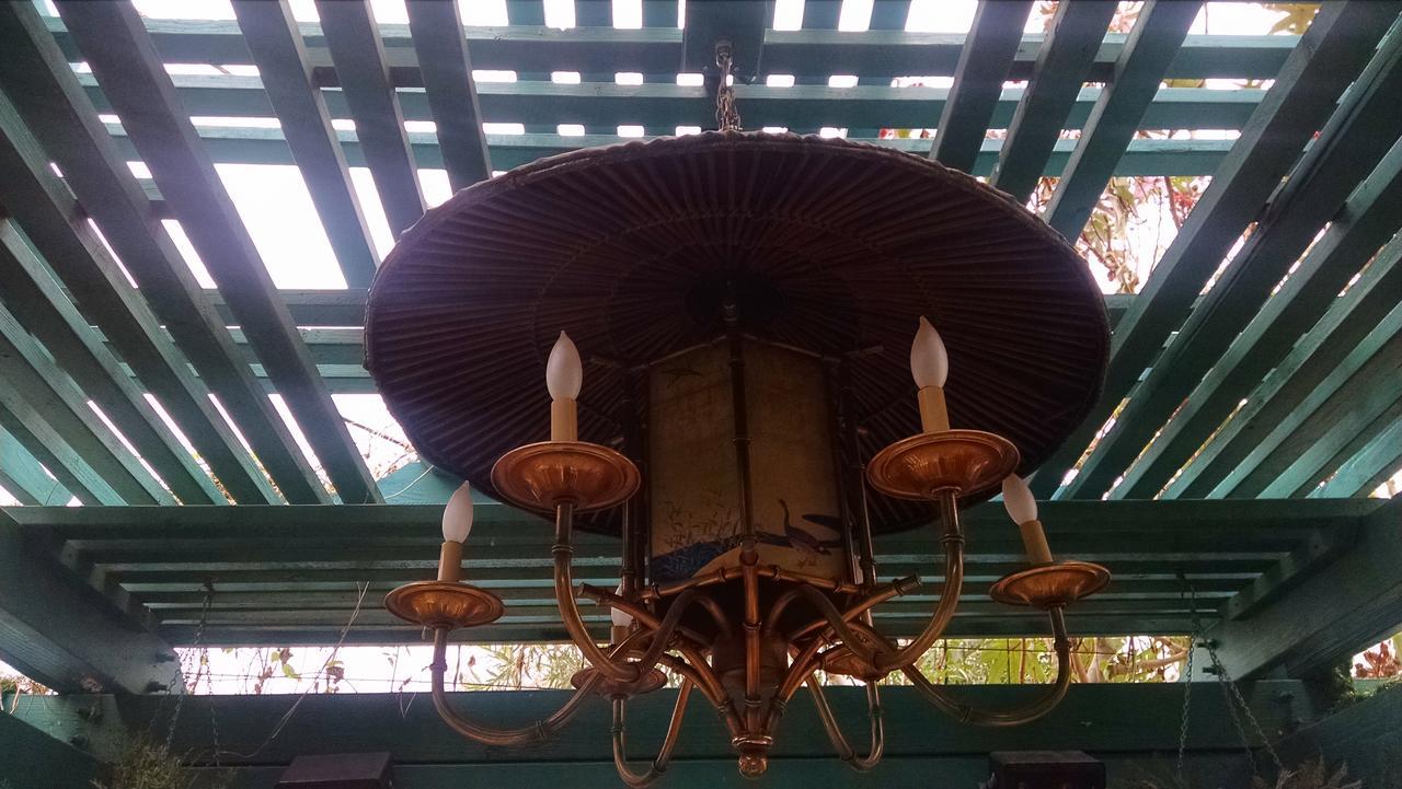 Don's Elegante Phoenix