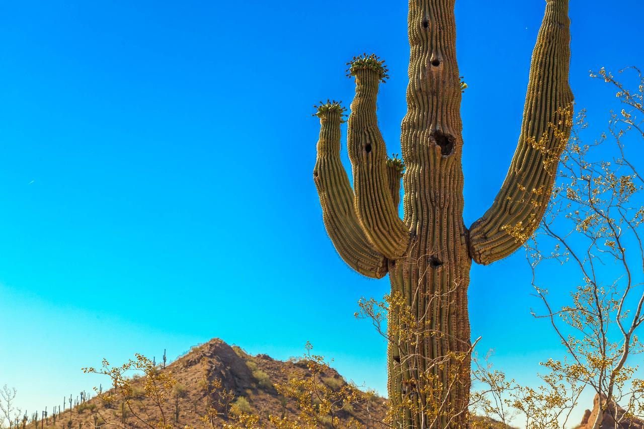 Desert Foothills Casa de férias Phoenix