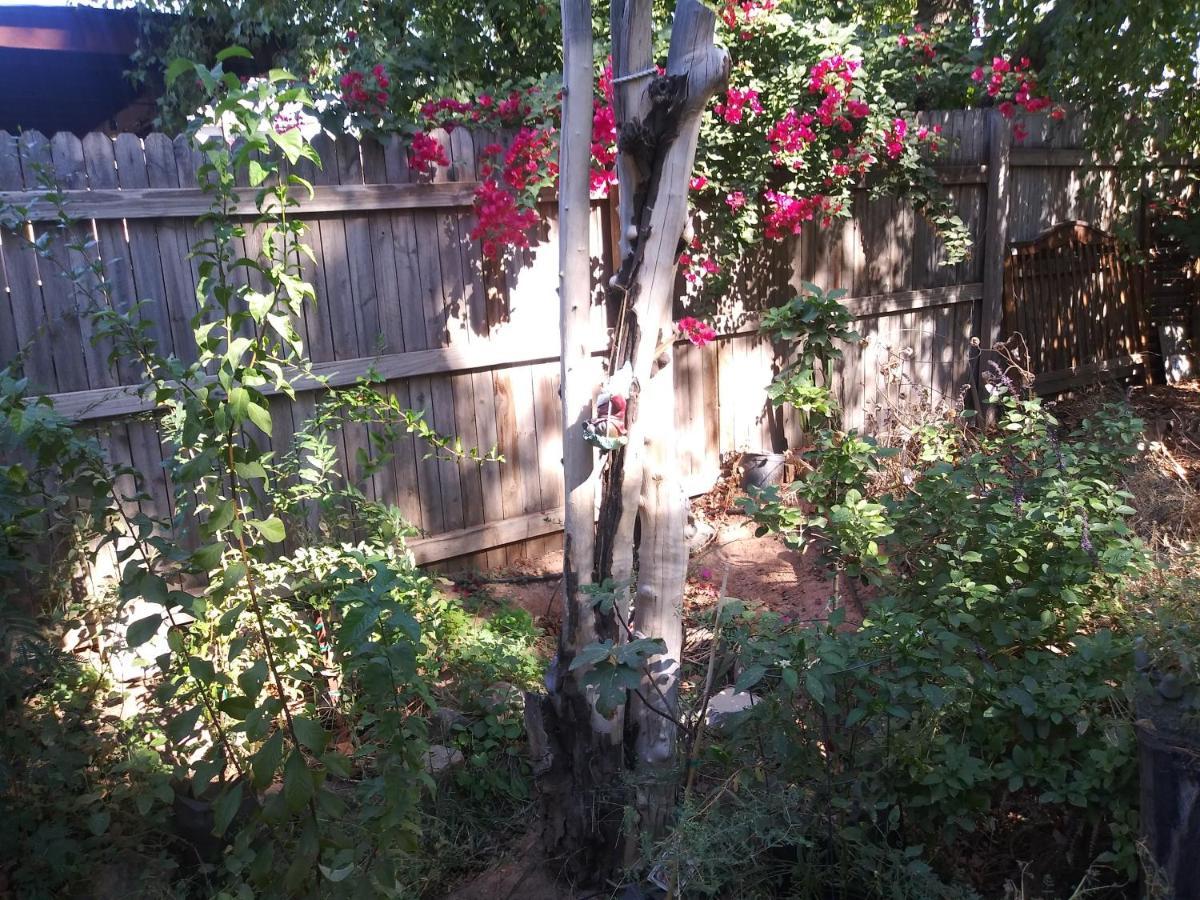 Bed & Breakfast Enchanted Forest