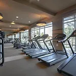 Cozysuites Paradise Under The Palm Trees! 12