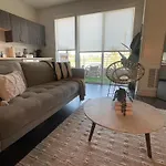 Downtown Zen Bliss