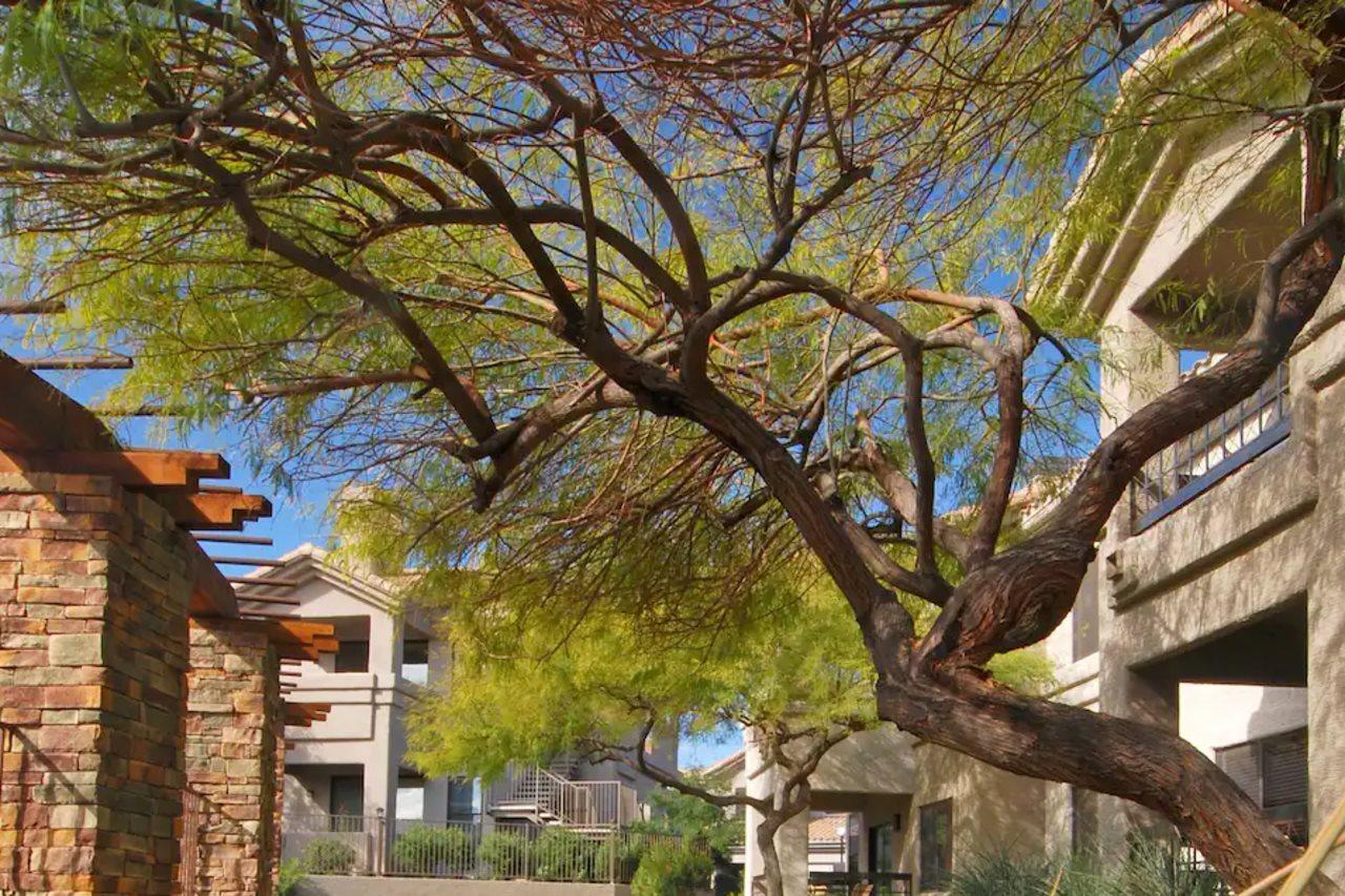 Worldmark - South Mountain Preserve