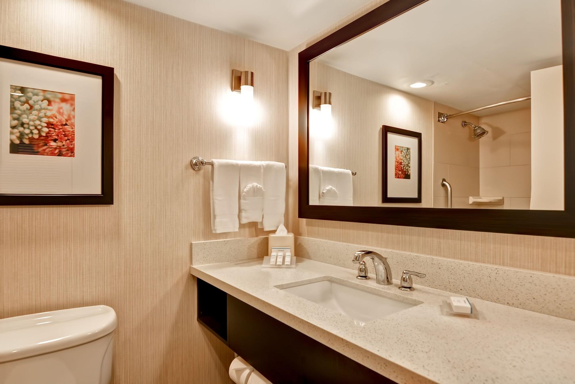 Hilton Garden Midtown Hotel 3*