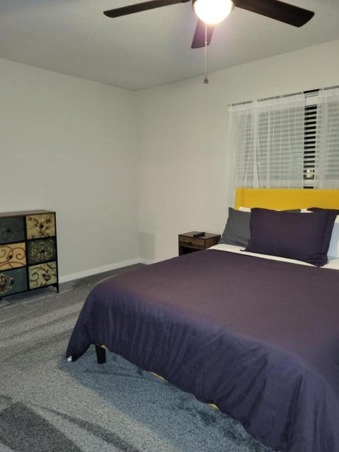 Hidden Gem In Area Apartment