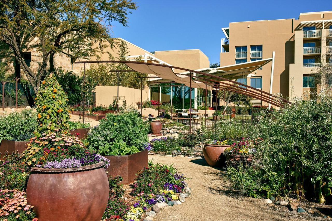 Jw Marriott Desert Ridge & Spa 5*