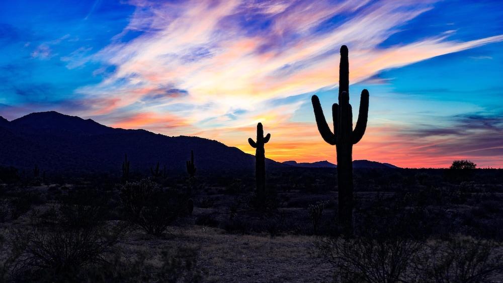 Arizona Grand Phoenix