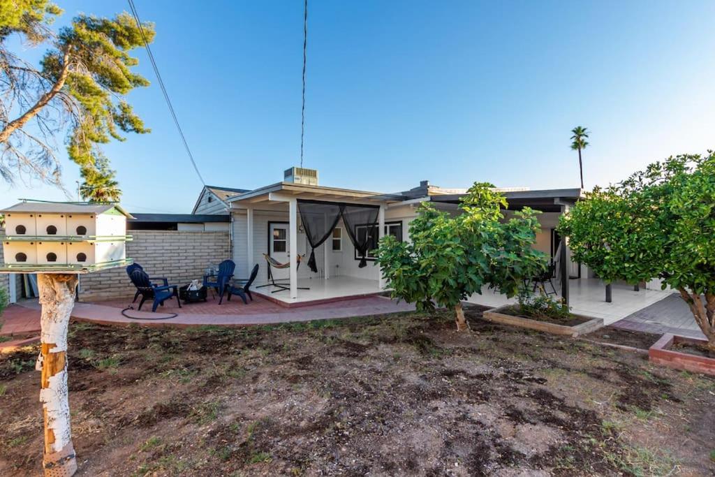 New Midtown Modern With Backyard * Phoenix