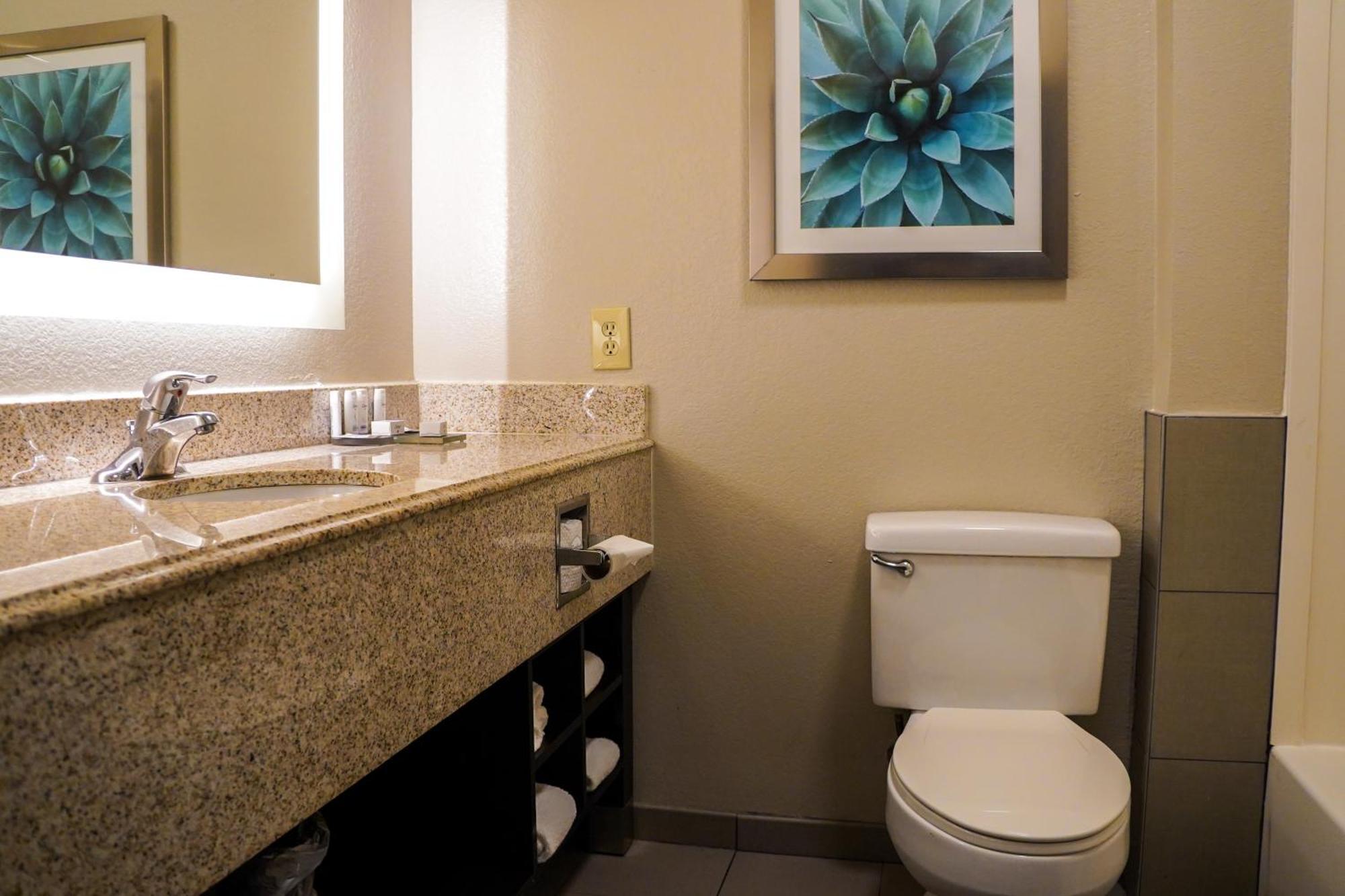 Hotel La Quinta By Wyndham I-10 West 3*