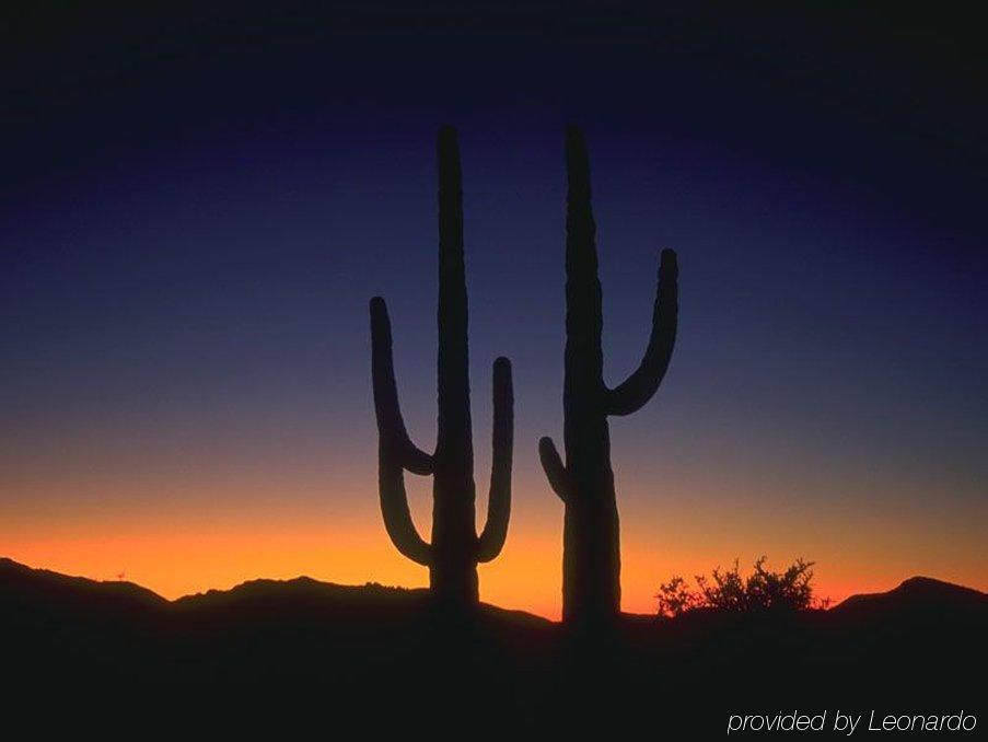 Express & Phoenix/chandler 3*