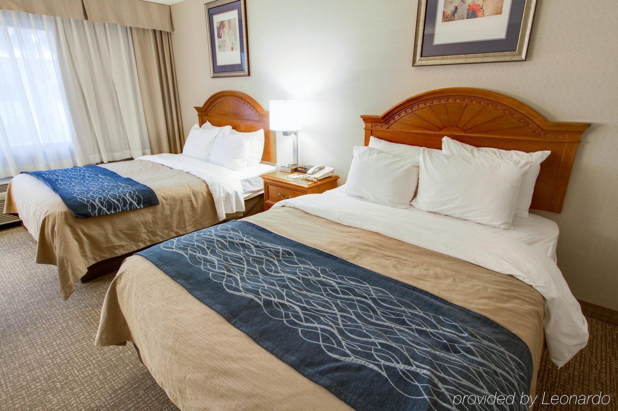 Comfort North Hotel 3*