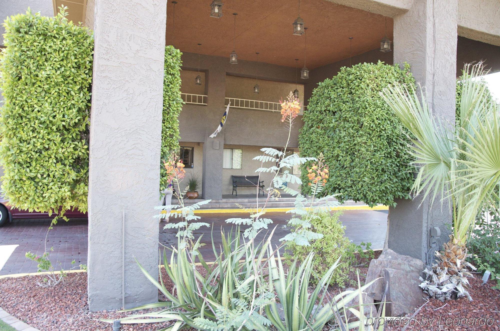 Hotel Western Innsuites & Phoenix