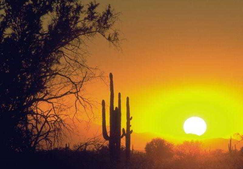 Courtyard By Marriott North Hotel Phoenix