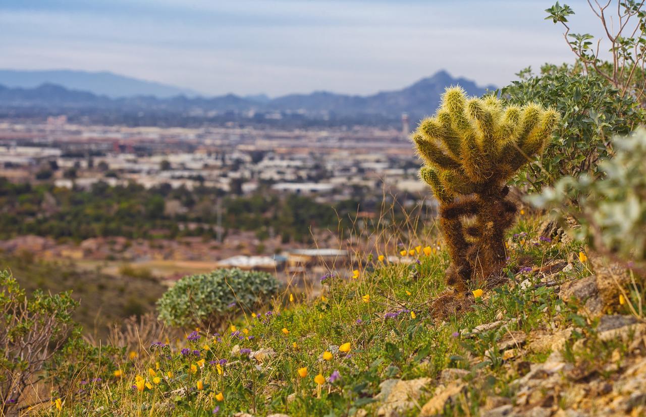 Worldmark - South Mountain Preserve Phoenix