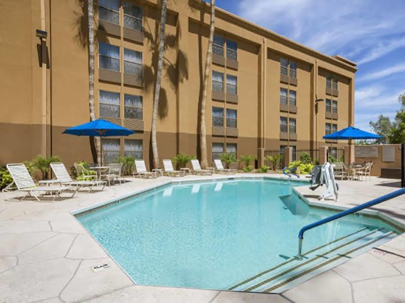 Greentree & Sky Harbor