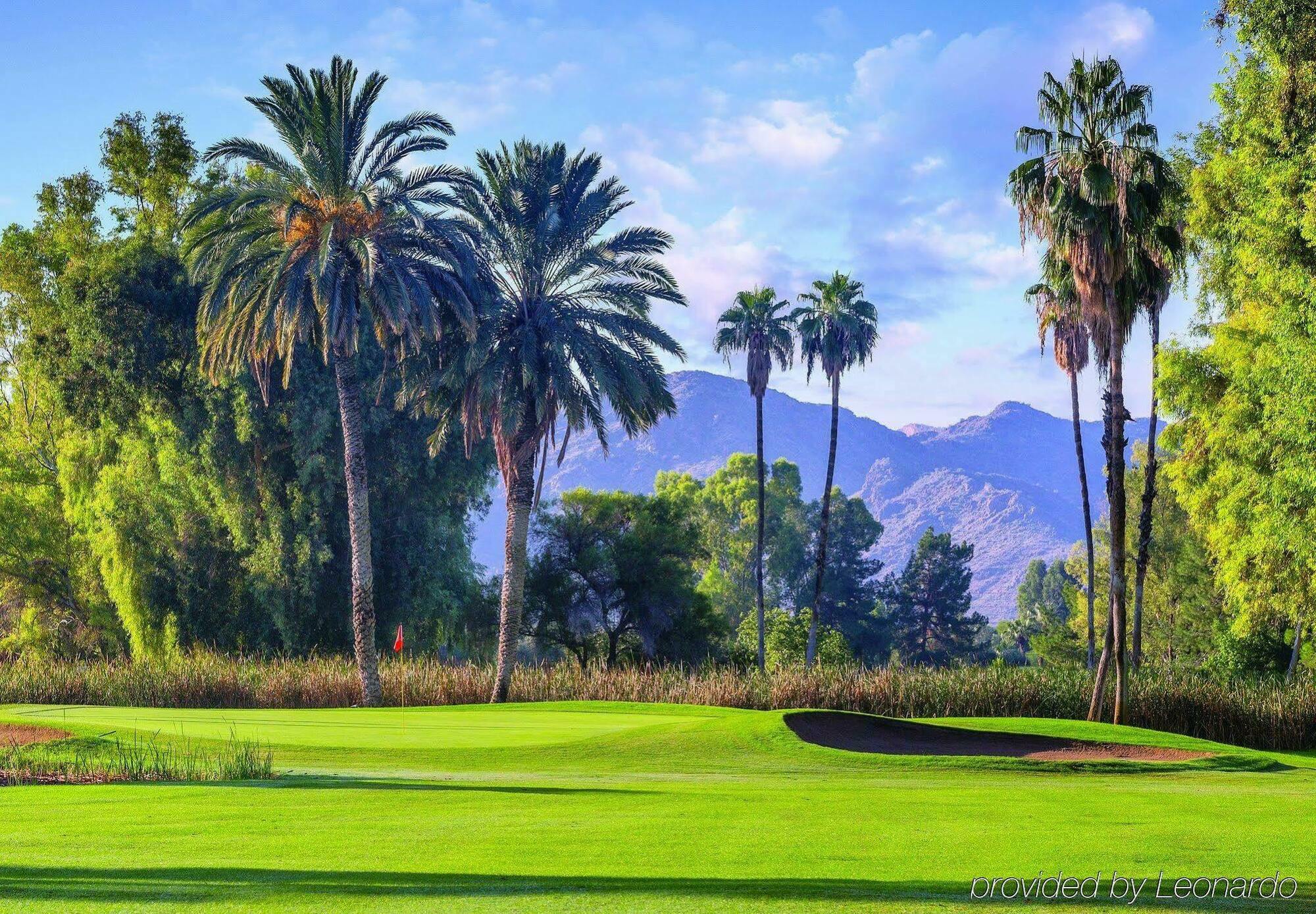 Resort Orange Tree Phoenix