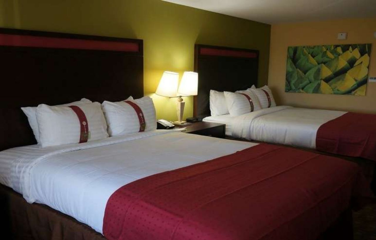 Hotel North 3*