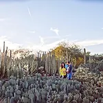 Holiday Inn Express & Suites - Phoenix - Airport North By Ihg