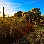 Holiday Inn Express & Suites - Phoenix - Airport North By Ihg