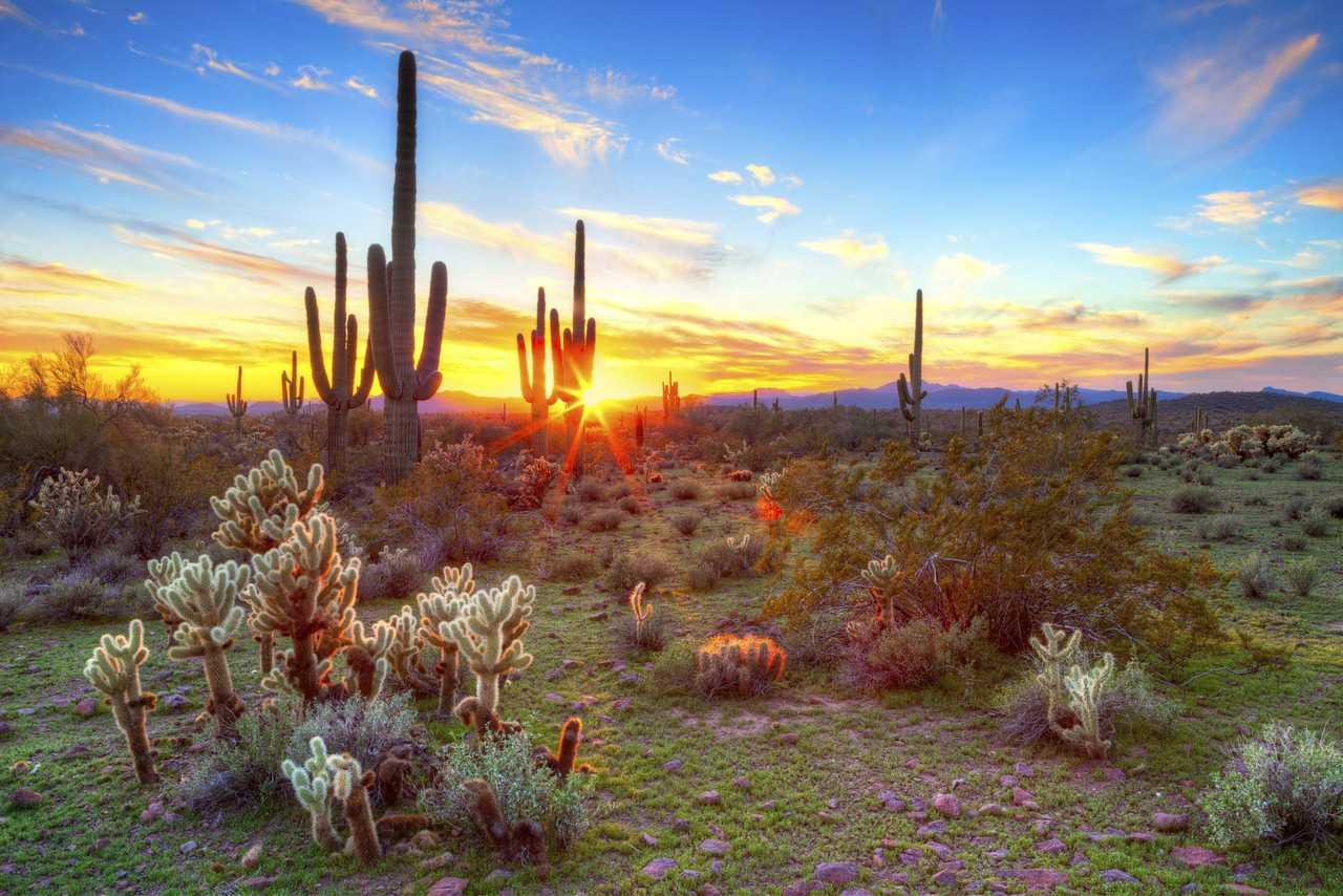 Cambria - North Scottsdale Phoenix