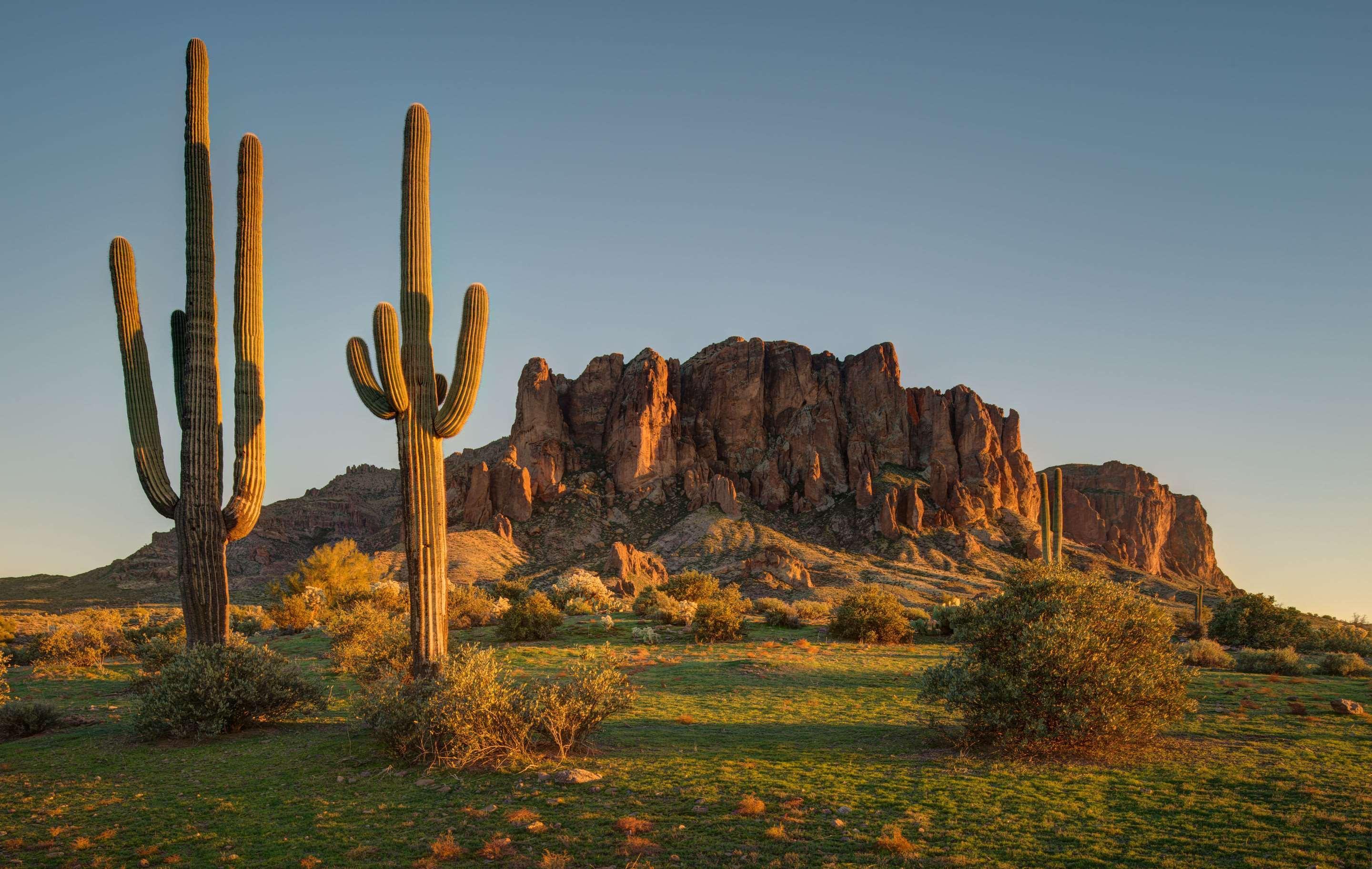 Hotel Cambria - North Scottsdale 4*