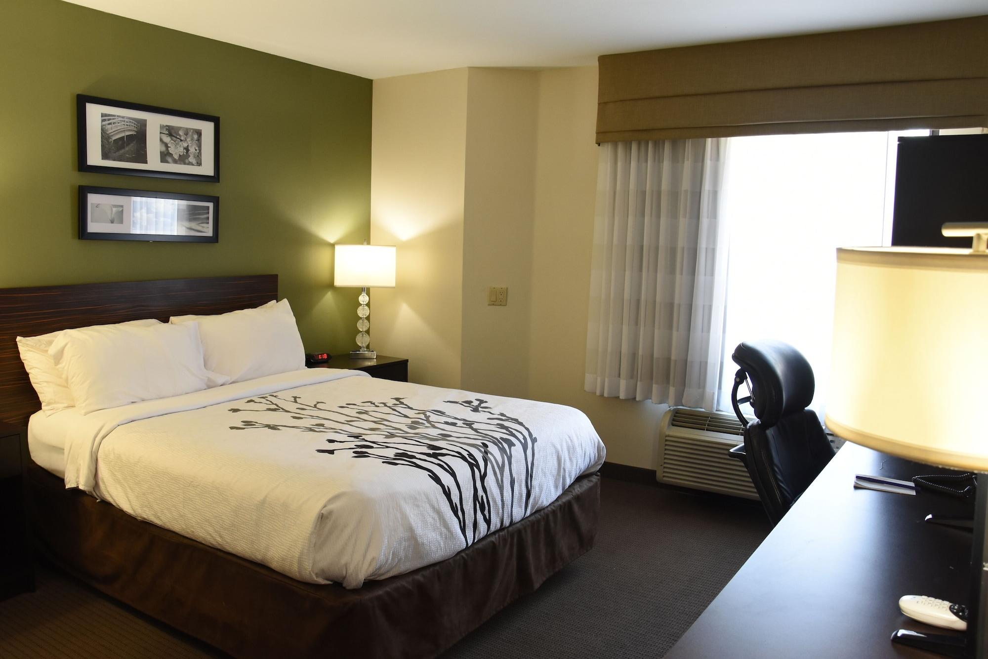 Sleep Airport Hotel