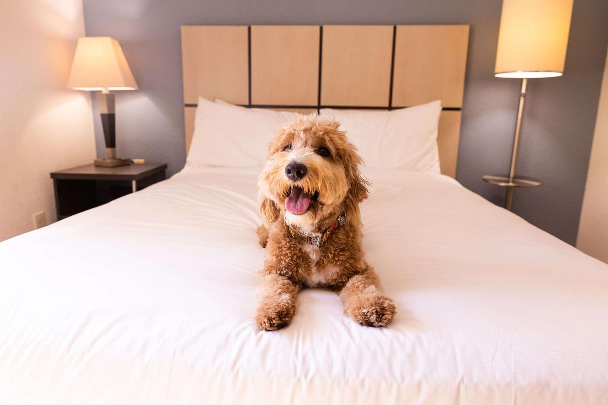 Sonesta Simply Glendale Hotel