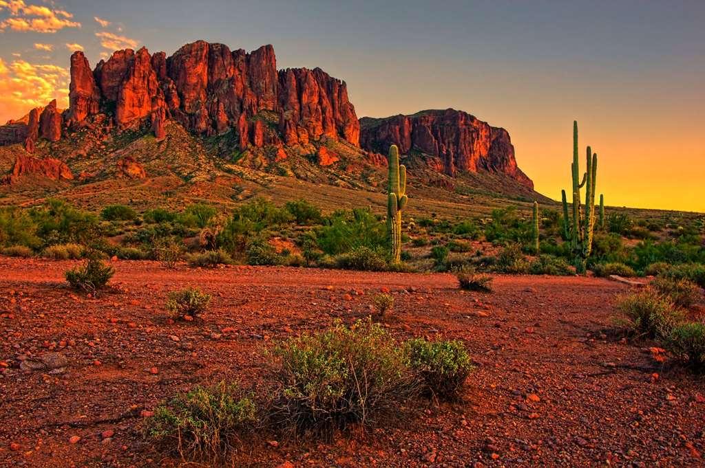 Hotel Cambria - North Scottsdale 4*