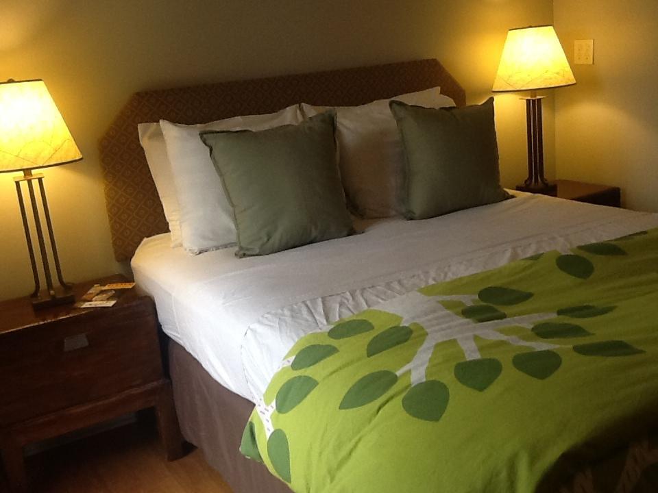 Guest house Zenyard 3*