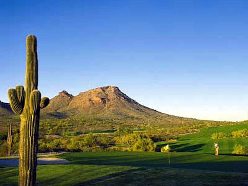 Private Corner Of -- ½ Mile Walk To Nature Trails At N. Mtn. Preserve! * Phoenix