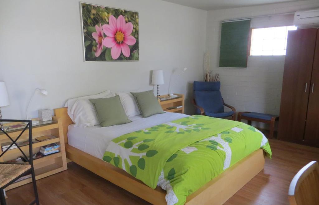 Zenyard Guest house Phoenix