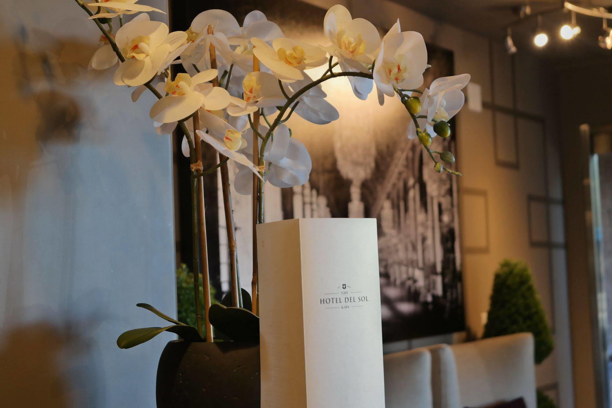 Hotel Del Sol, Boutique Phoenix Airport 2*